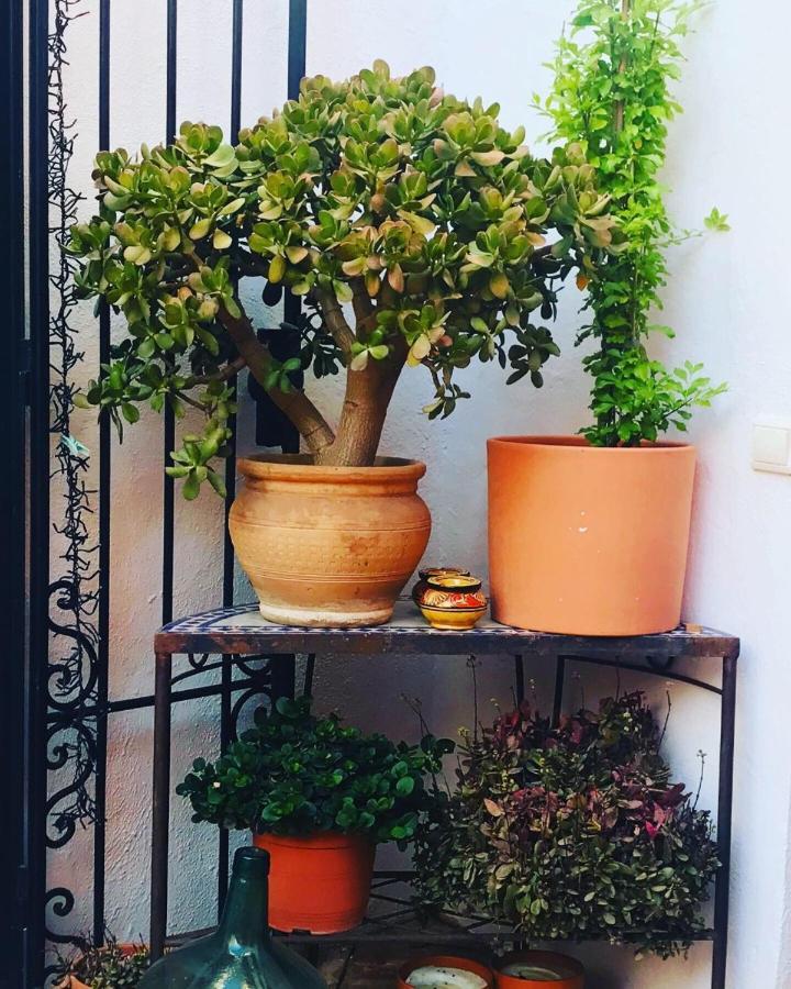 Casa Aire De Lecrin Alojamento de Acomodação e Pequeno-almoço 3*