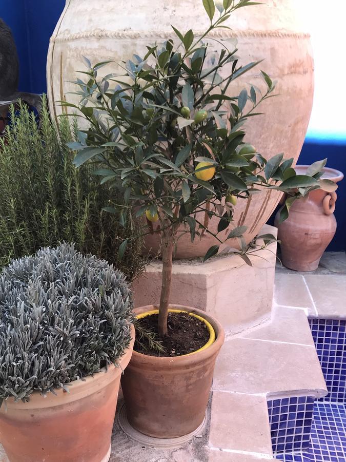 Casa Aire De Lecrin Alojamento de Acomodação e Pequeno-almoço 3*